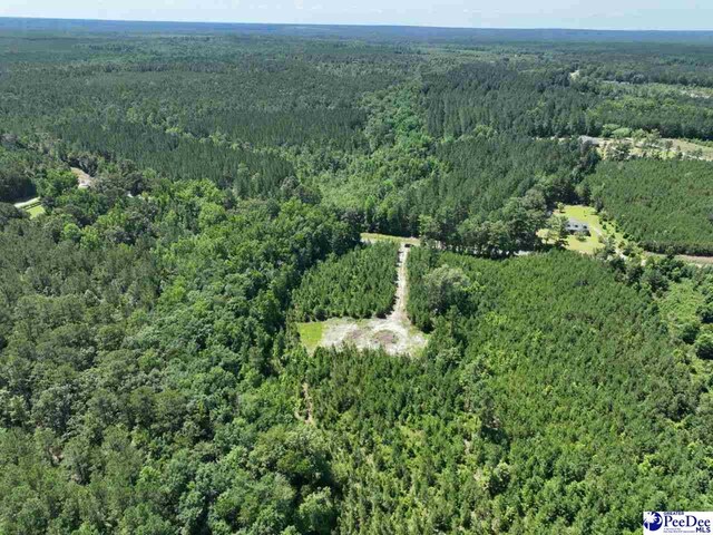 878 Beaver Run Rd, Cheraw, SC 29520