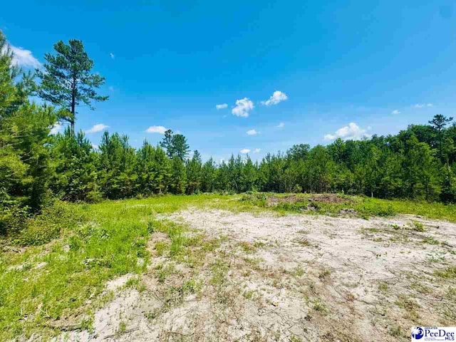 878 Beaver Run Rd, Cheraw, SC 29520