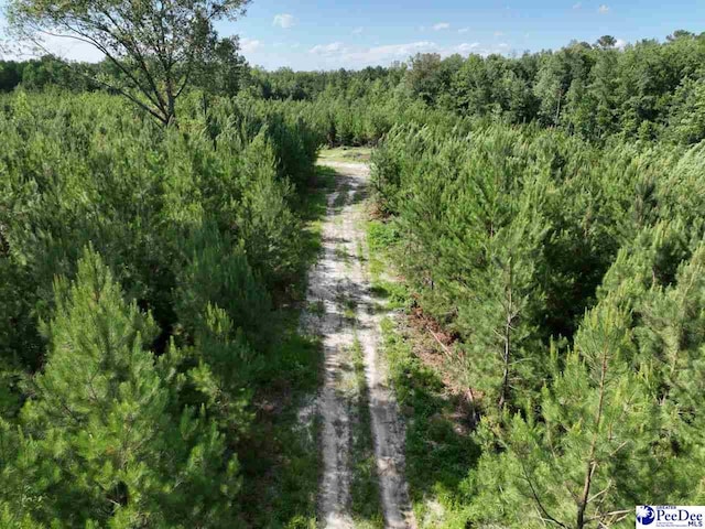 878 Beaver Run Rd, Cheraw, SC 29520