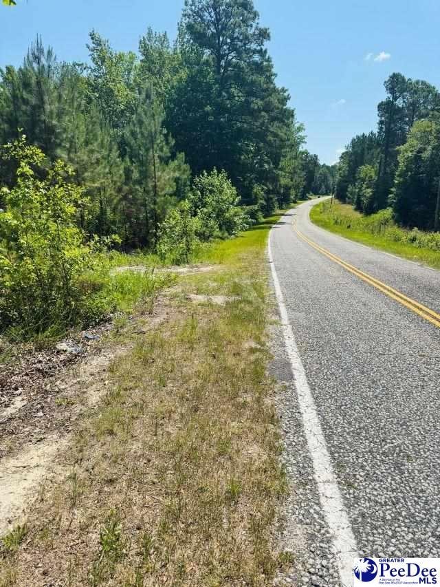 878 Beaver Run Rd, Cheraw, SC 29520