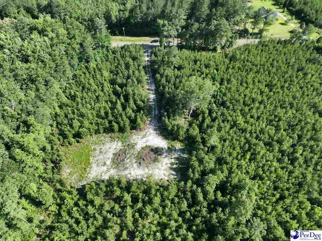 878 Beaver Run Rd, Cheraw, SC 29520
