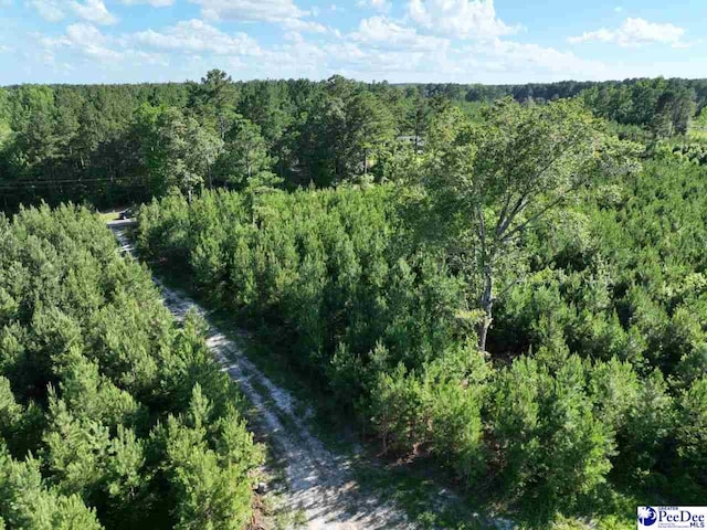 878 Beaver Run Rd, Cheraw, SC 29520