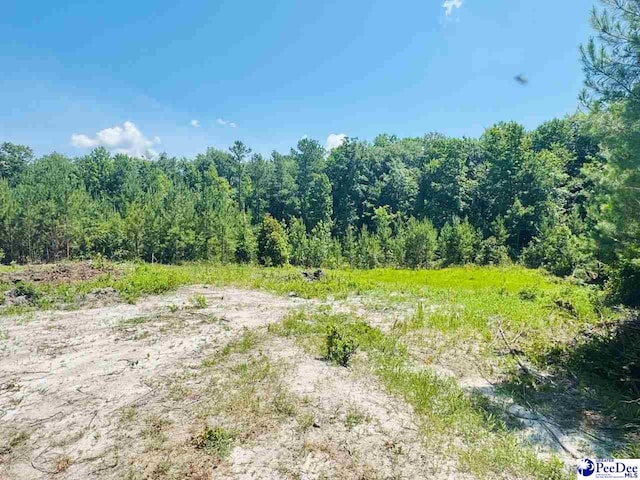 878 Beaver Run Rd, Cheraw, SC 29520