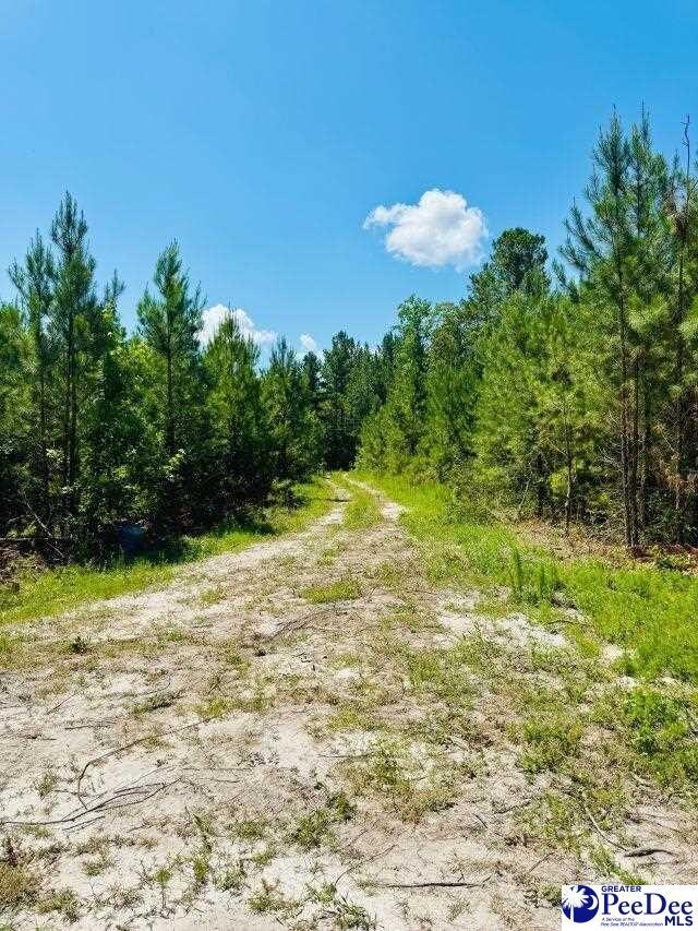 878 Beaver Run Rd, Cheraw, SC 29520