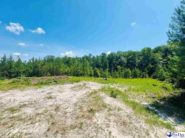 878 Beaver Run Rd, Cheraw, SC 29520
