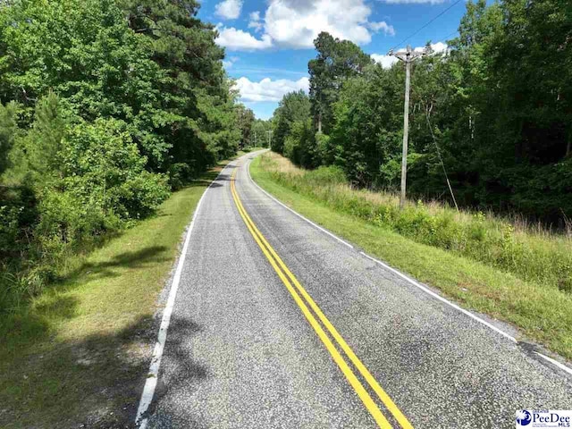878 Beaver Run Rd, Cheraw, SC 29520