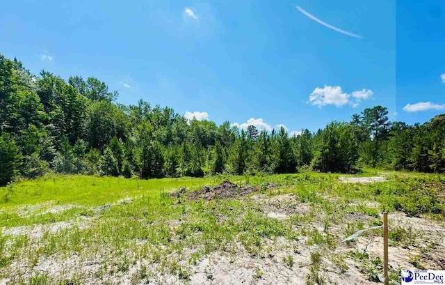 878 Beaver Run Rd, Cheraw, SC 29520