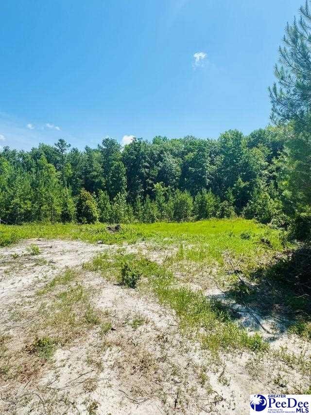 878 Beaver Run Rd, Cheraw, SC 29520