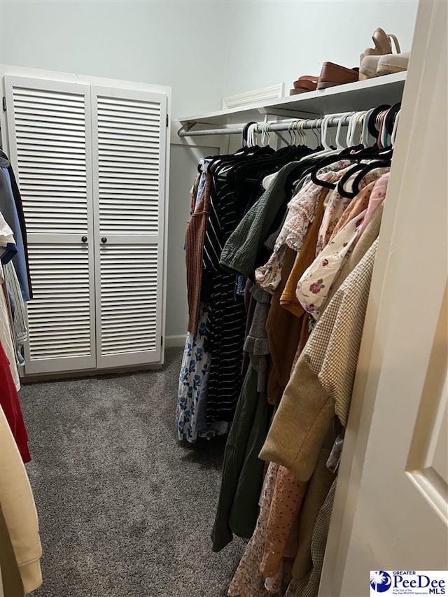 walk in closet featuring carpet