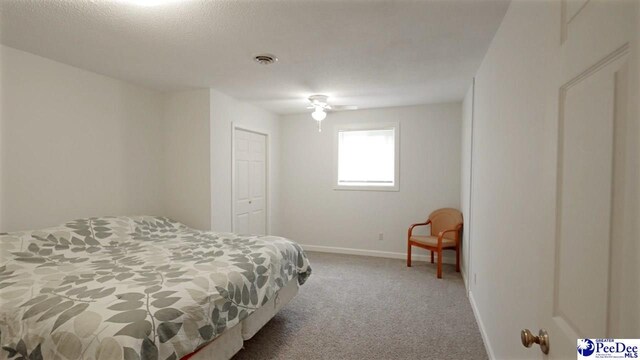 307 W College Ave, Hartsville, SC 29550 - photo 11