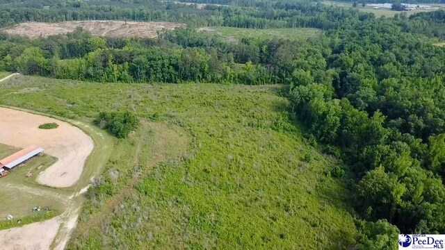 A Rainey Rd, Chesterfield, SC 29709 - photo 7