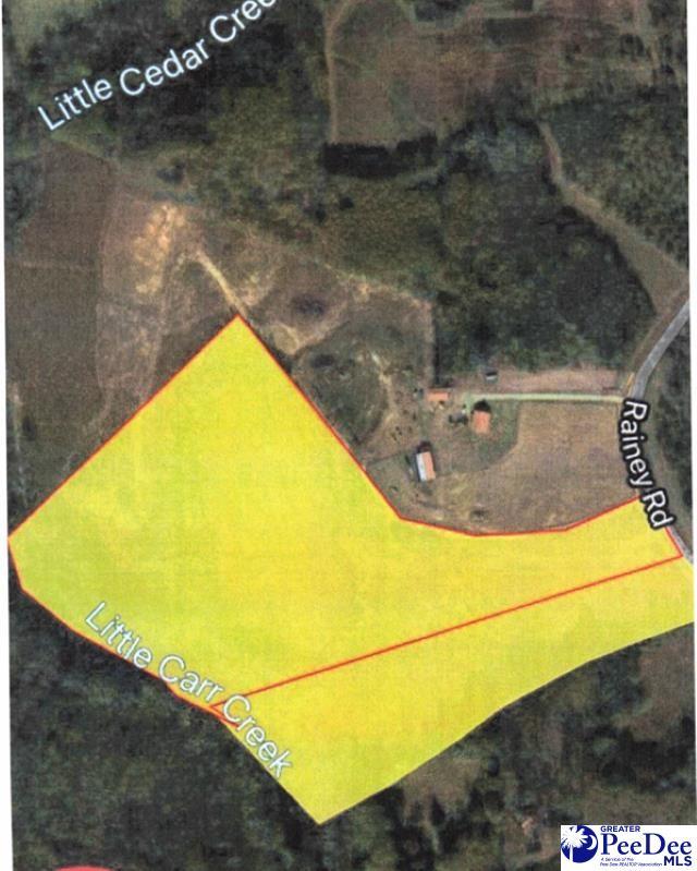 A Rainey Rd, Chesterfield, SC 29709 - photo 11