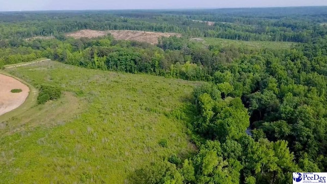 A Rainey Rd, Chesterfield, SC 29709 - photo 2