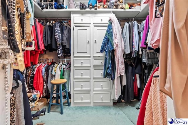 view of walk in closet