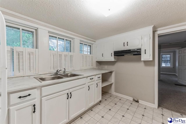 kitchen featuring white cabinetry, sink, ornamental molding, and a textured ceiling