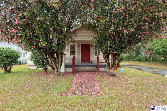 obstructed view of property with a front lawn