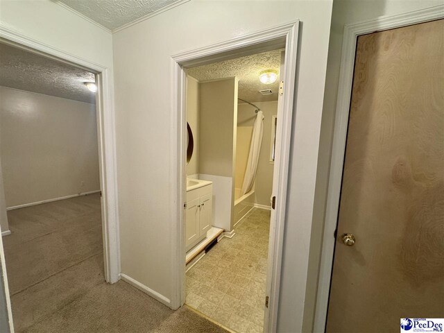 188 Chatham Trace Cir, Cheraw, SC 29520 - hallway with a textured ceiling, light carpet, and light flooring