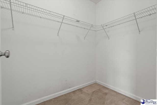 2770 Gray Dr, Darlington, SC 29532 - walk in closet with light carpet