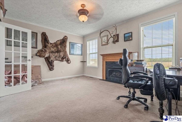 2770 Gray Dr, Darlington, SC 29532 - carpeted office space with ornamental molding, a textured ceiling, and a fireplace