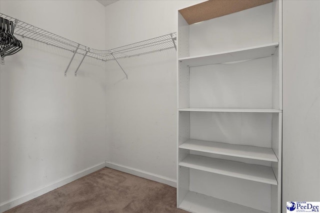 2770 Gray Dr, Darlington, SC 29532 - walk in closet with carpet flooring