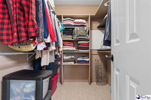 spacious closet with light colored carpet