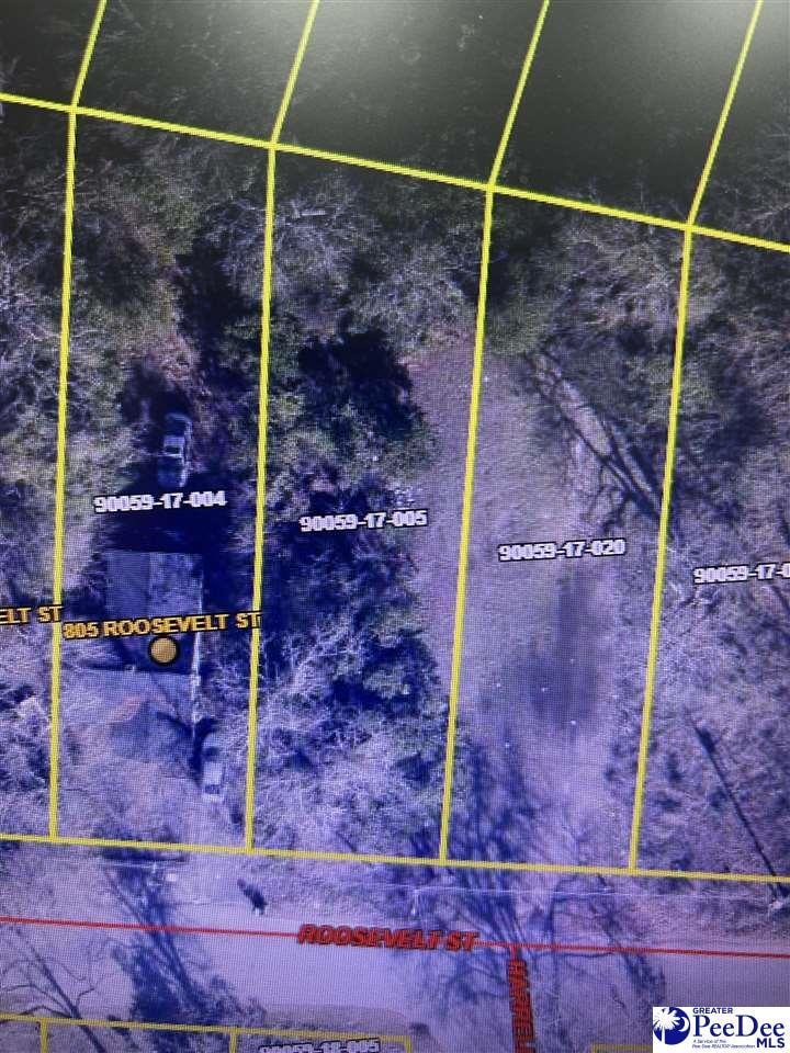 803 Roosevelt St, Florence, SC 29501