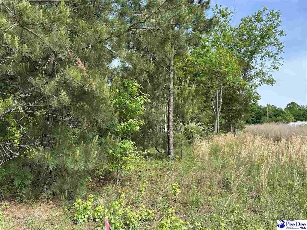 803 Roosevelt St, Florence, SC 29501