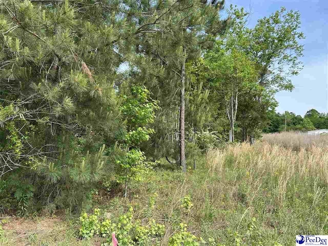 803 Roosevelt St, Florence, SC 29501