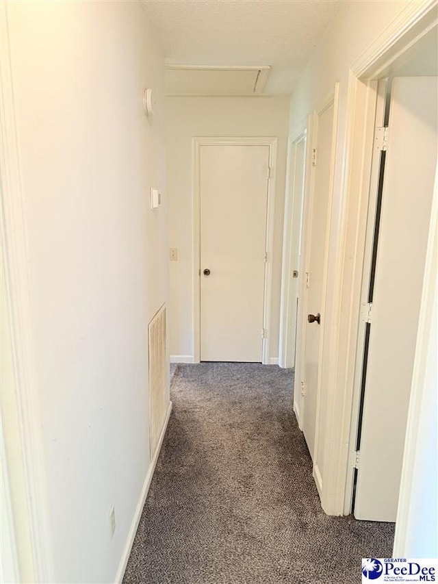 1801 E Howe Springs Rd, Florence, SC 29505 - corridor with carpet floors and baseboards