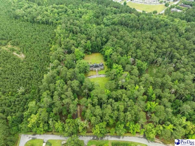 1303 Greenbriar Rd, Hartsville, SC 29550 - photo 71