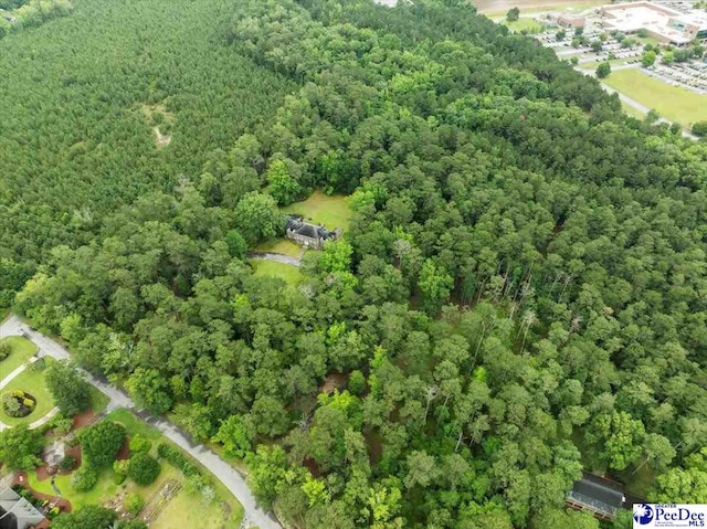 1303 Greenbriar Rd, Hartsville, SC 29550 - photo 70