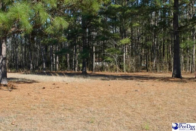 0 Candy Ln, Dillon, SC 29536 - photo 6