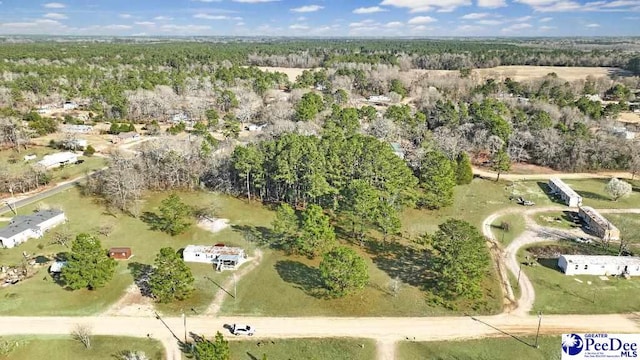 0 Candy Ln, Dillon, SC 29536 - photo 3