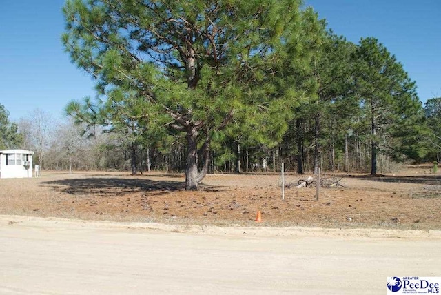 0 Candy Ln, Dillon, SC 29536 - photo 5