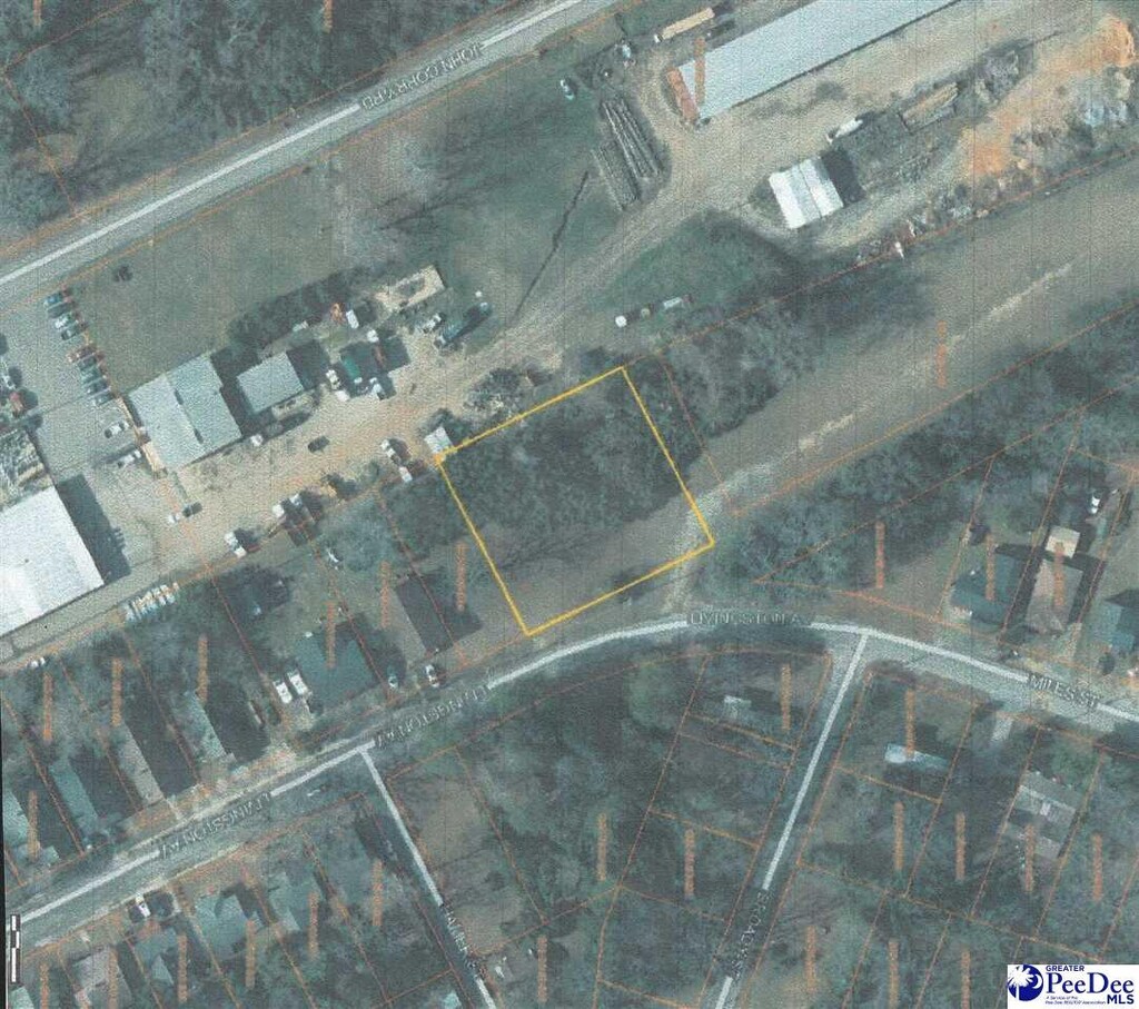 123 Livingston, Bennettsville, SC 29512 - photo 2