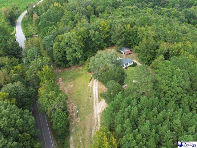 1272 Huntley Shop Rd, Chesterfield, SC 29709 - photo 11