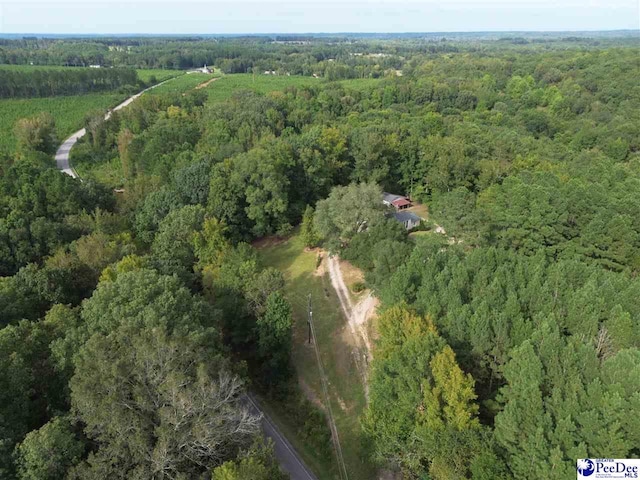 1272 Huntley Shop Rd, Chesterfield, SC 29709 - photo 47