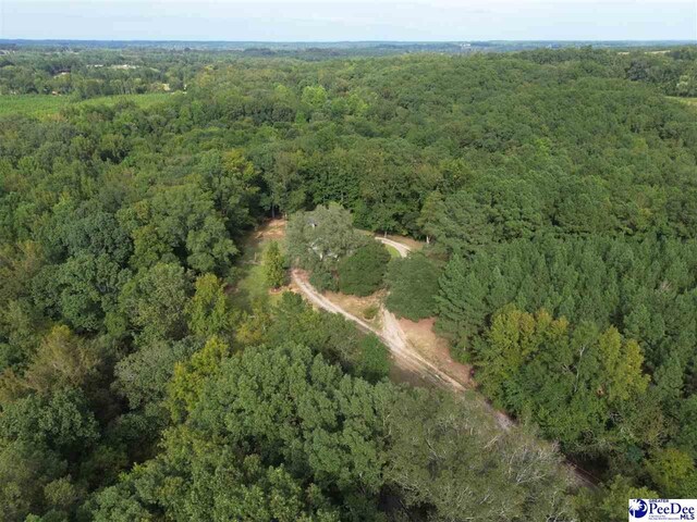 1272 Huntley Shop Rd, Chesterfield, SC 29709 - photo 46