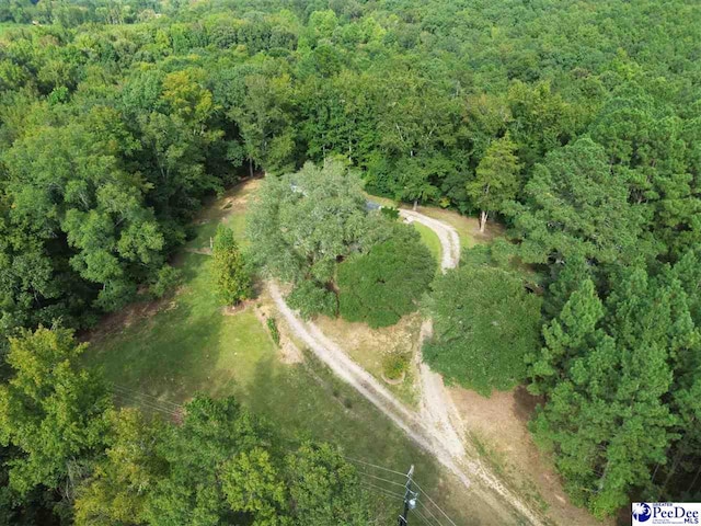 1272 Huntley Shop Rd, Chesterfield, SC 29709 - photo 45