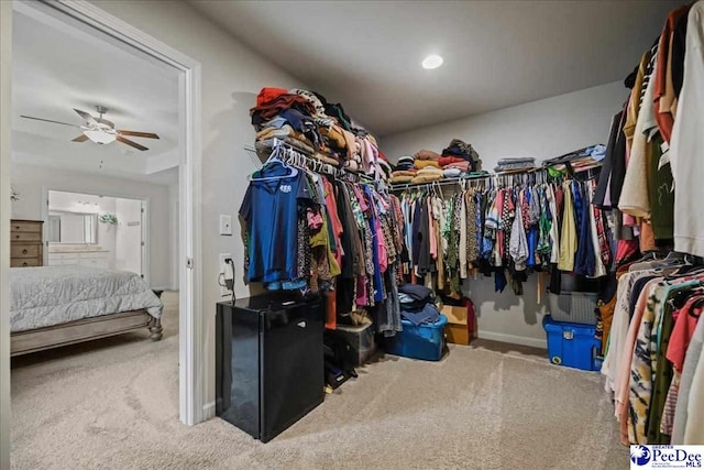 1757 Lake Wateree Dr, Florence, SC 29501 - spacious closet featuring carpet floors and ceiling fan