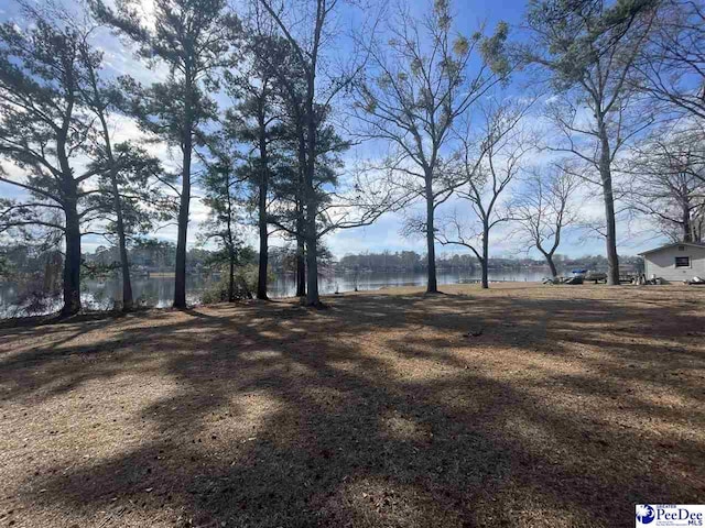 Listing photo 2 for TBD W Forest Lake Dr, Florence SC 29501