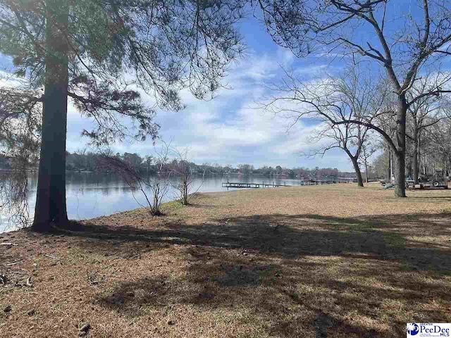 Listing photo 3 for TBD W Forest Lake Dr, Florence SC 29501