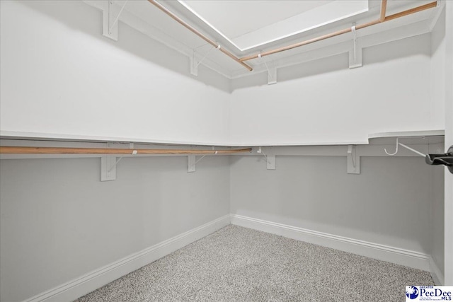 walk in closet with carpet flooring