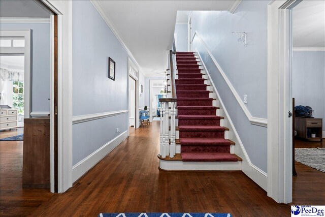 808 Juanita Dr, Florence, SC 29501 - photo 20