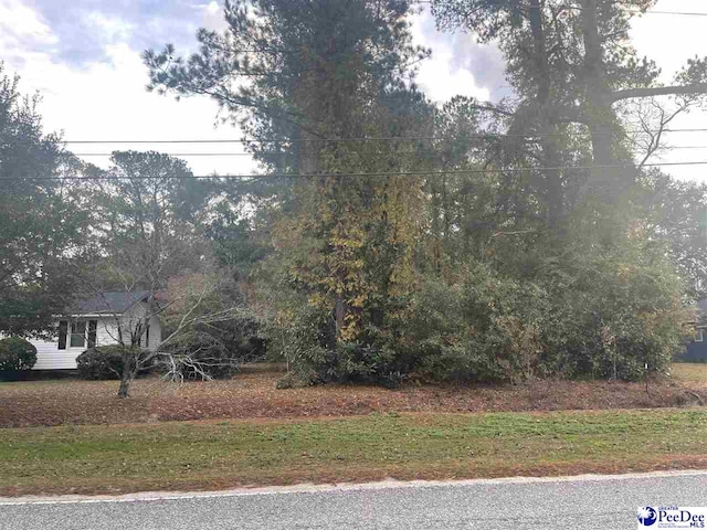 TBD W Main St, Olanta SC, 29114 land for sale