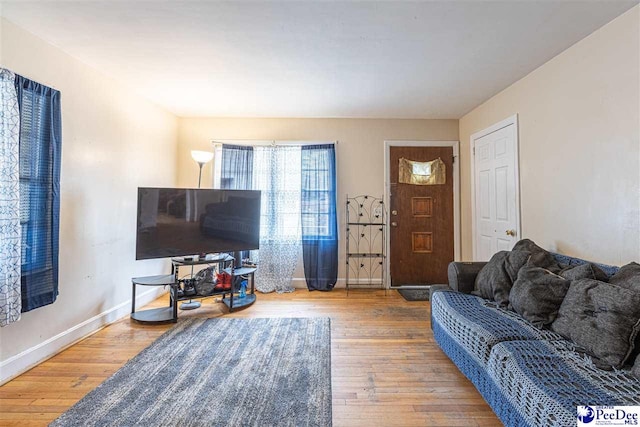 living room featuring hardwood / wood-style flooring