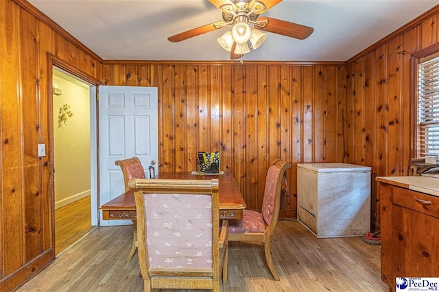 dining space featuring ceiling fan, ornamental molding, wooden walls, and light wood-type flooring