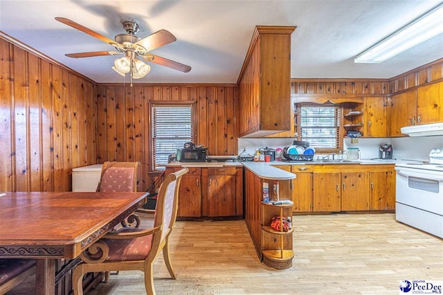 kitchen featuring wooden walls, white electric range oven, ceiling fan, light hardwood / wood-style floors, and crown molding