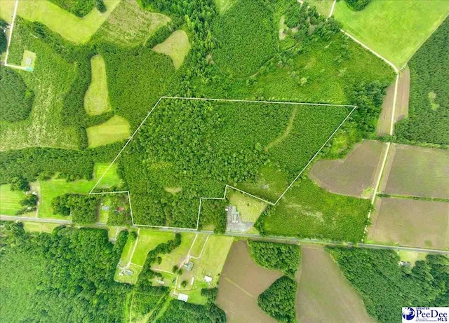 53ACRES Old River Rd, Florence, SC 29505 - photo 1