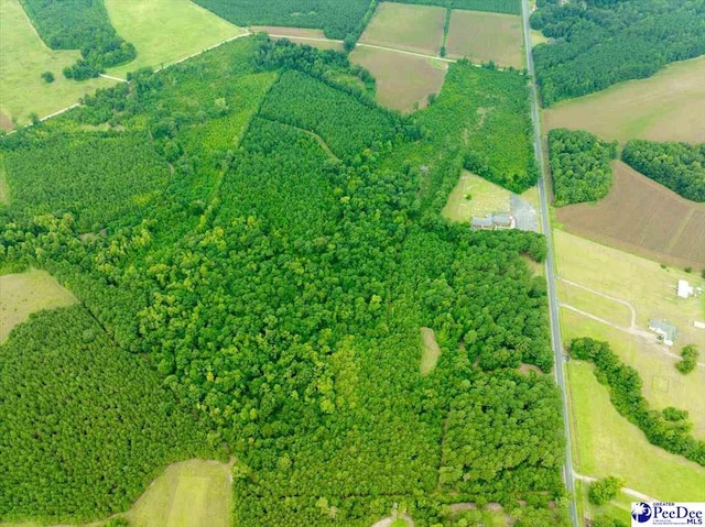 53ACRES Old River Rd, Florence, SC 29505 - photo 3